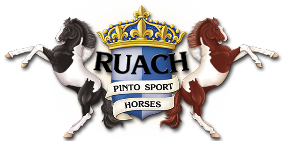 Ruach Logo