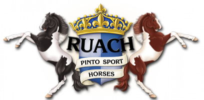 Ruach_Pinto_Sport_Horses_logo2020