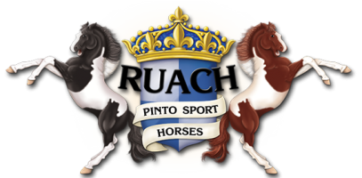 Ruach Logo